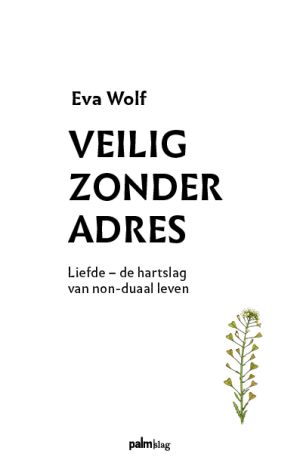 veilig zonder adres omslag