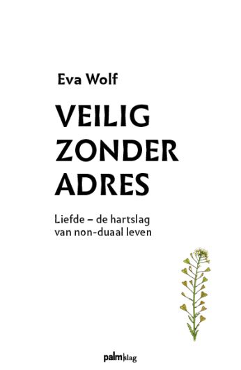 veilig zonder adres omslag