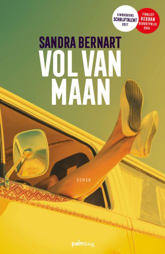 E-book Vol van Maan