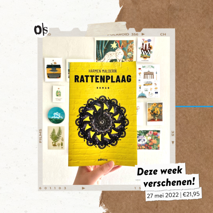 rattenplaag